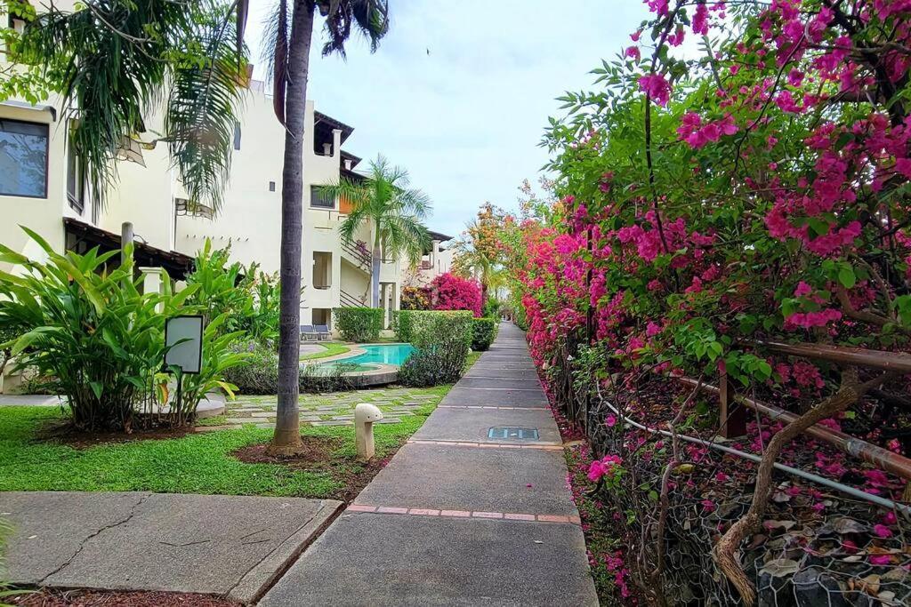Amazing Oceanview Rooftop Terrace Walk To Beach โกโก ภายนอก รูปภาพ