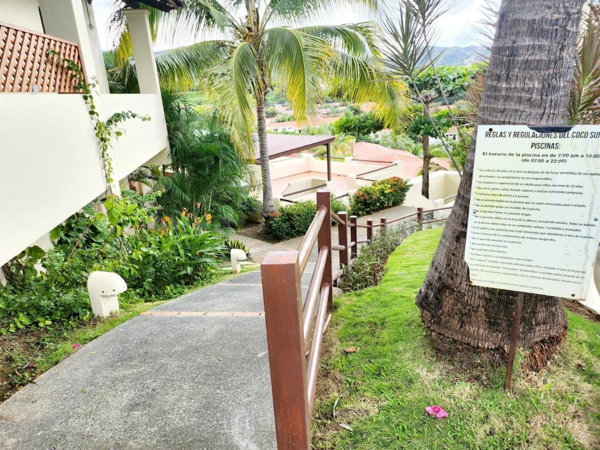 Amazing Oceanview Rooftop Terrace Walk To Beach โกโก ภายนอก รูปภาพ